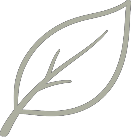 Outline of a single leaf with visible veins.
