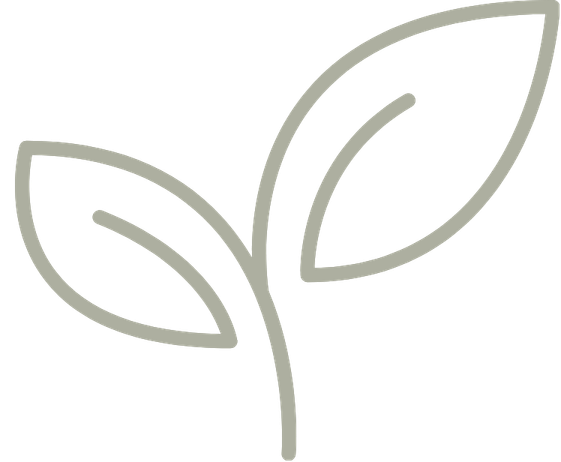 Outline of a plant with two leaves and a stem.