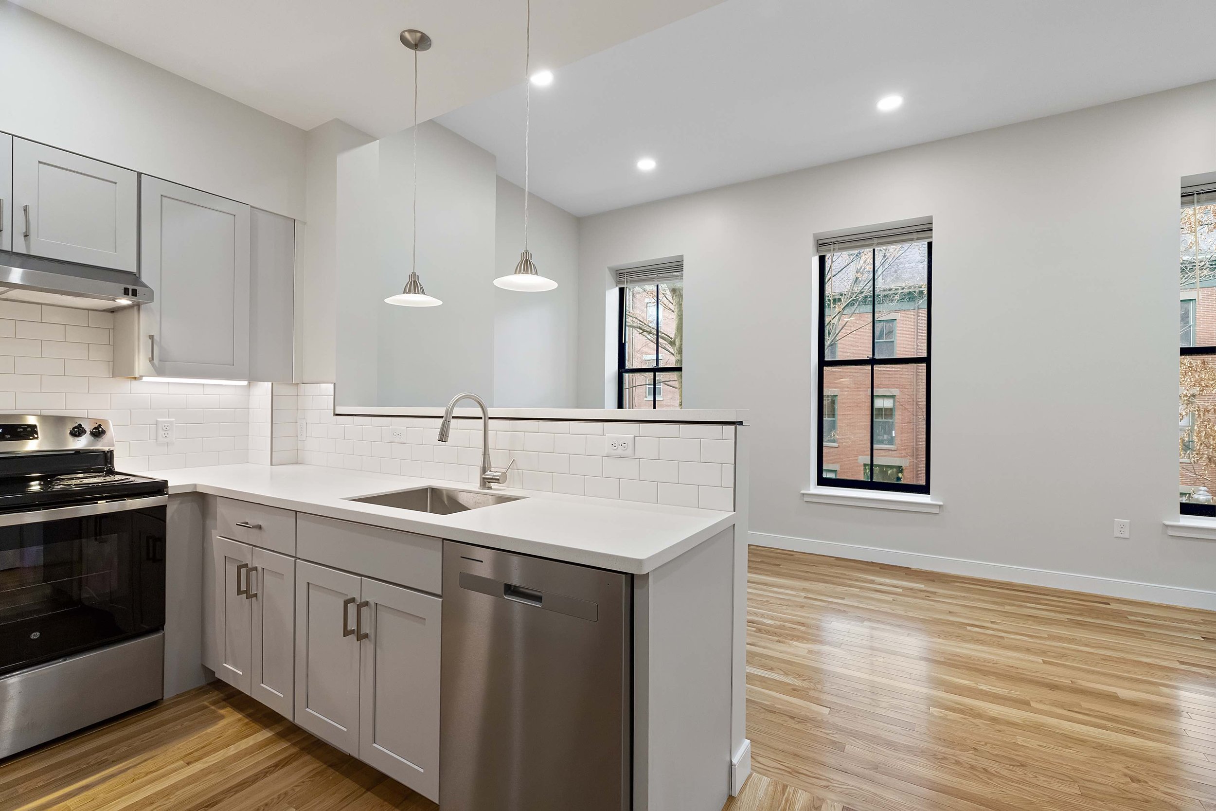 MPZ Development_34-E-Springfield-unit-3-0003.jpeg