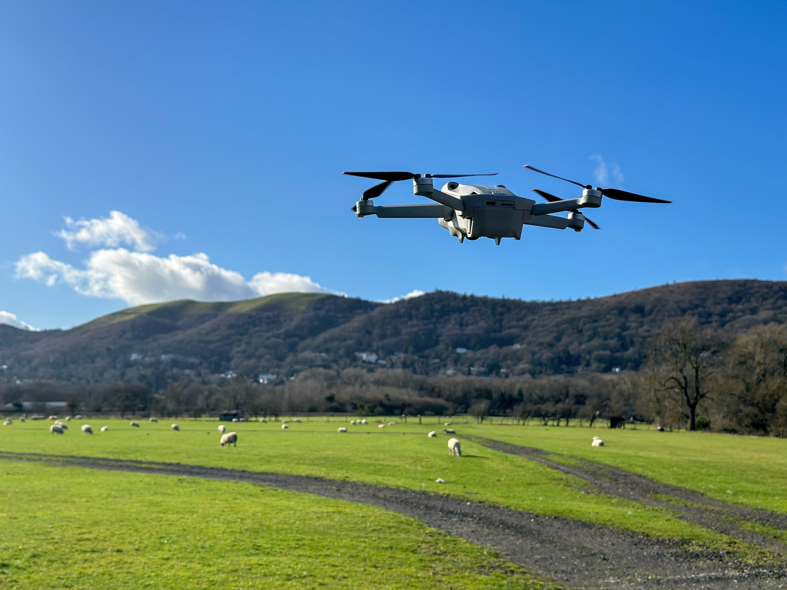 A drone flying over a green field with sheep grazing and rolling hills in the background under a blue sky with some clouds.