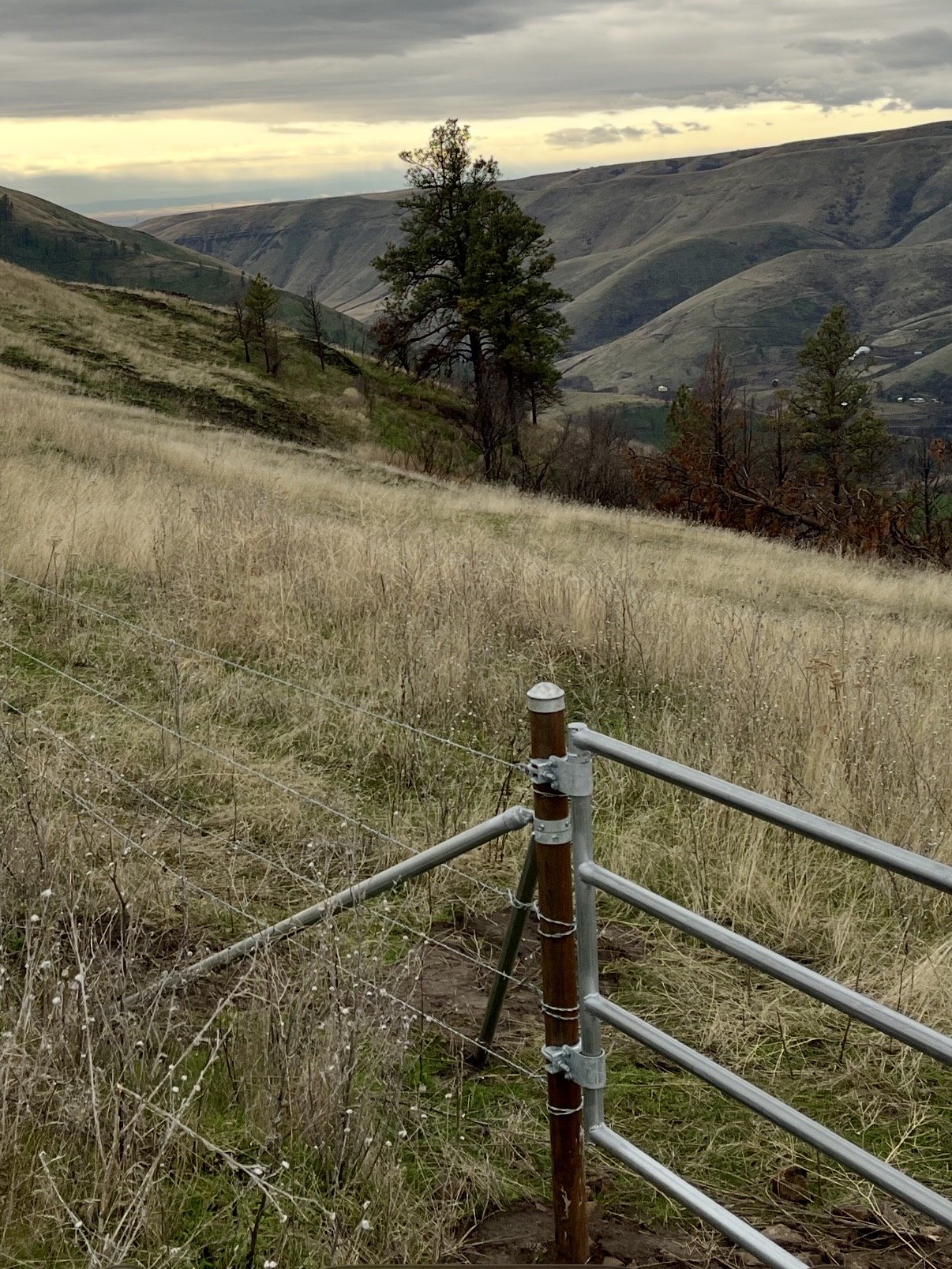 gate hinge for round posts