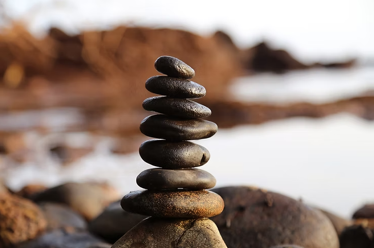 L'ego et l'identification