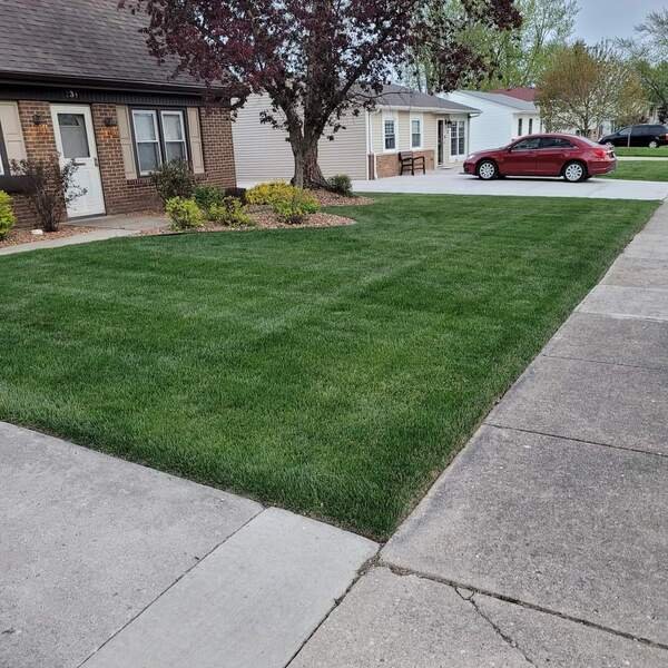 Rovak Turf technician applying liquid fertilizer to a lush, green suburban lawn.