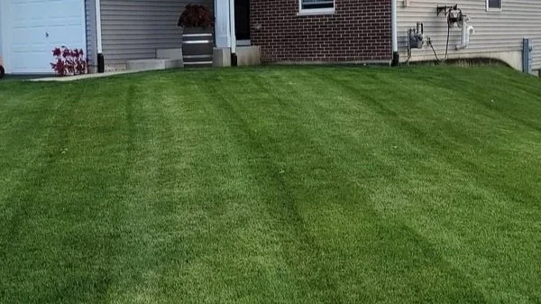 Rovak Turf healthy lawn soil
