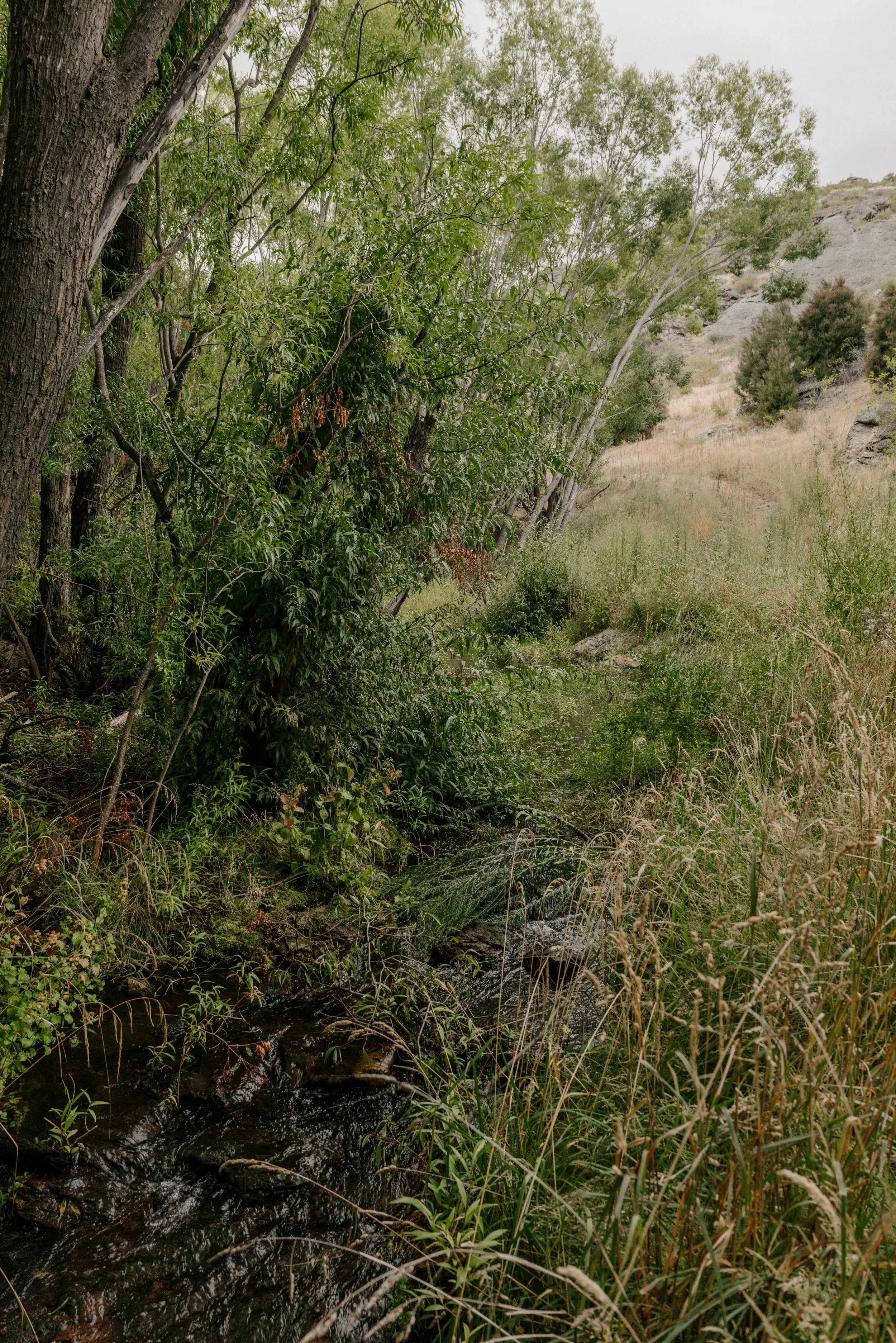 Studio Billy Northburn-78.jpg