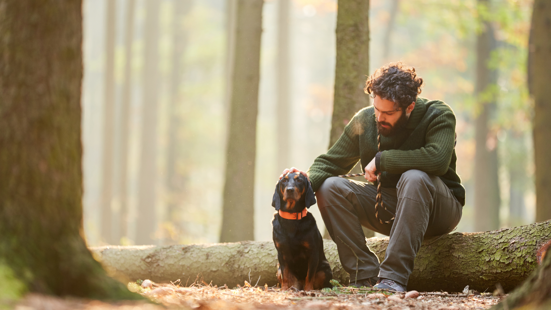 Mans Best Friend