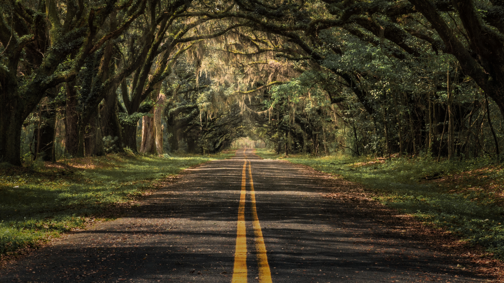 Georgia Road