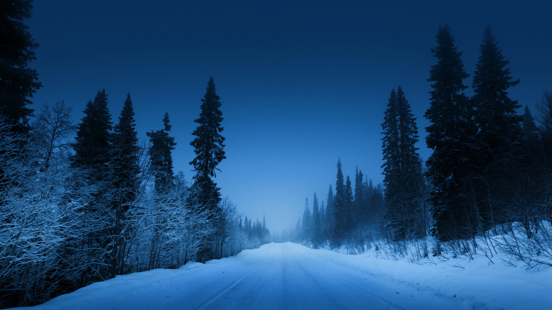 winter road with snow on ground and trees