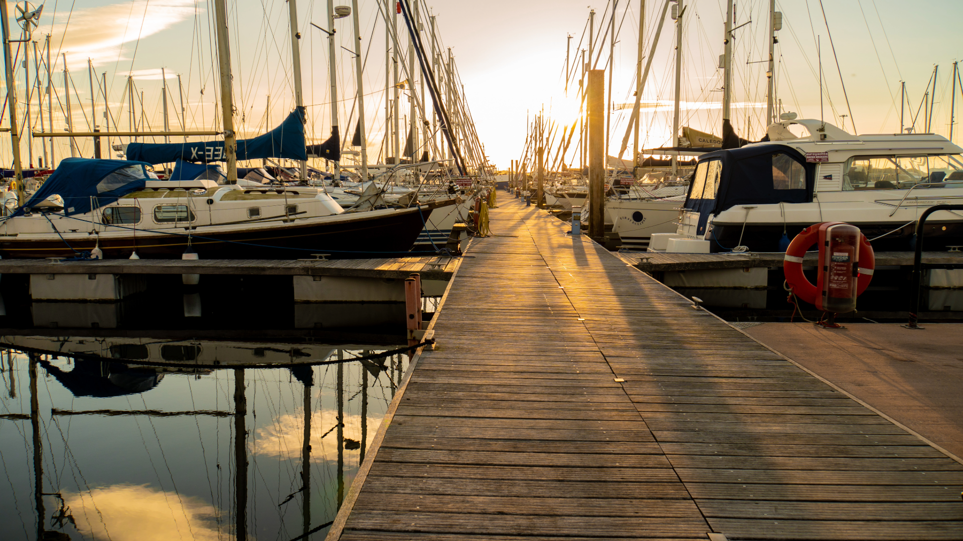 boats