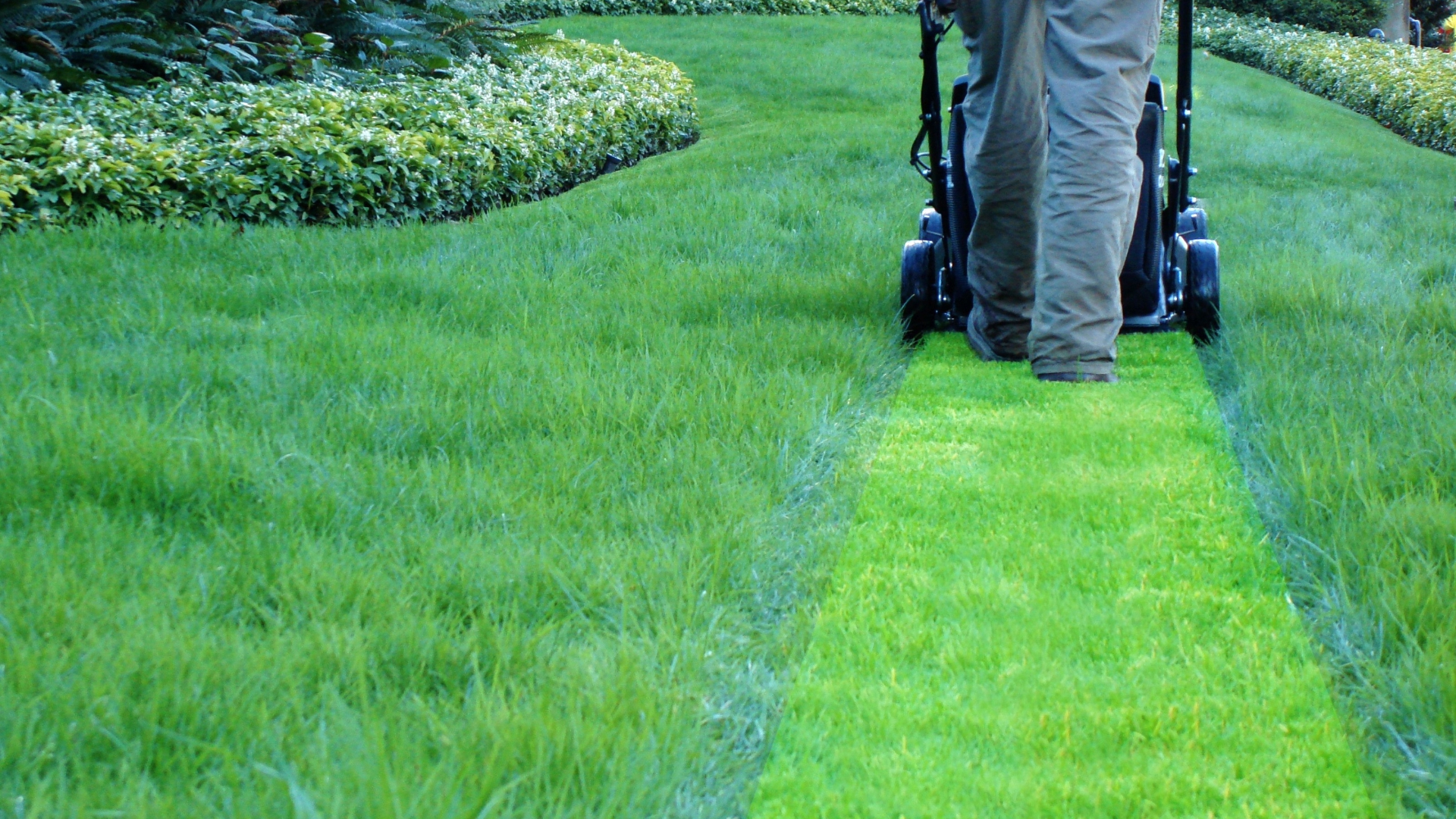 lawnmower.png