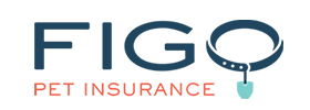 Logo for FIGO Pet Insurance with the text 'FIGO' in large blue letters and 'Pet Insurance' in smaller red letters underneath.