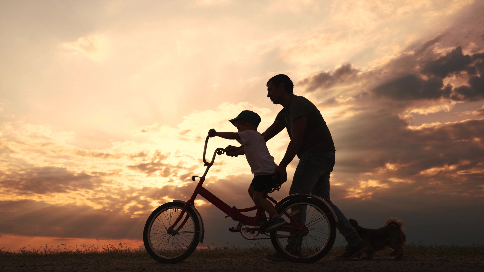 Riding Bike At Sunset