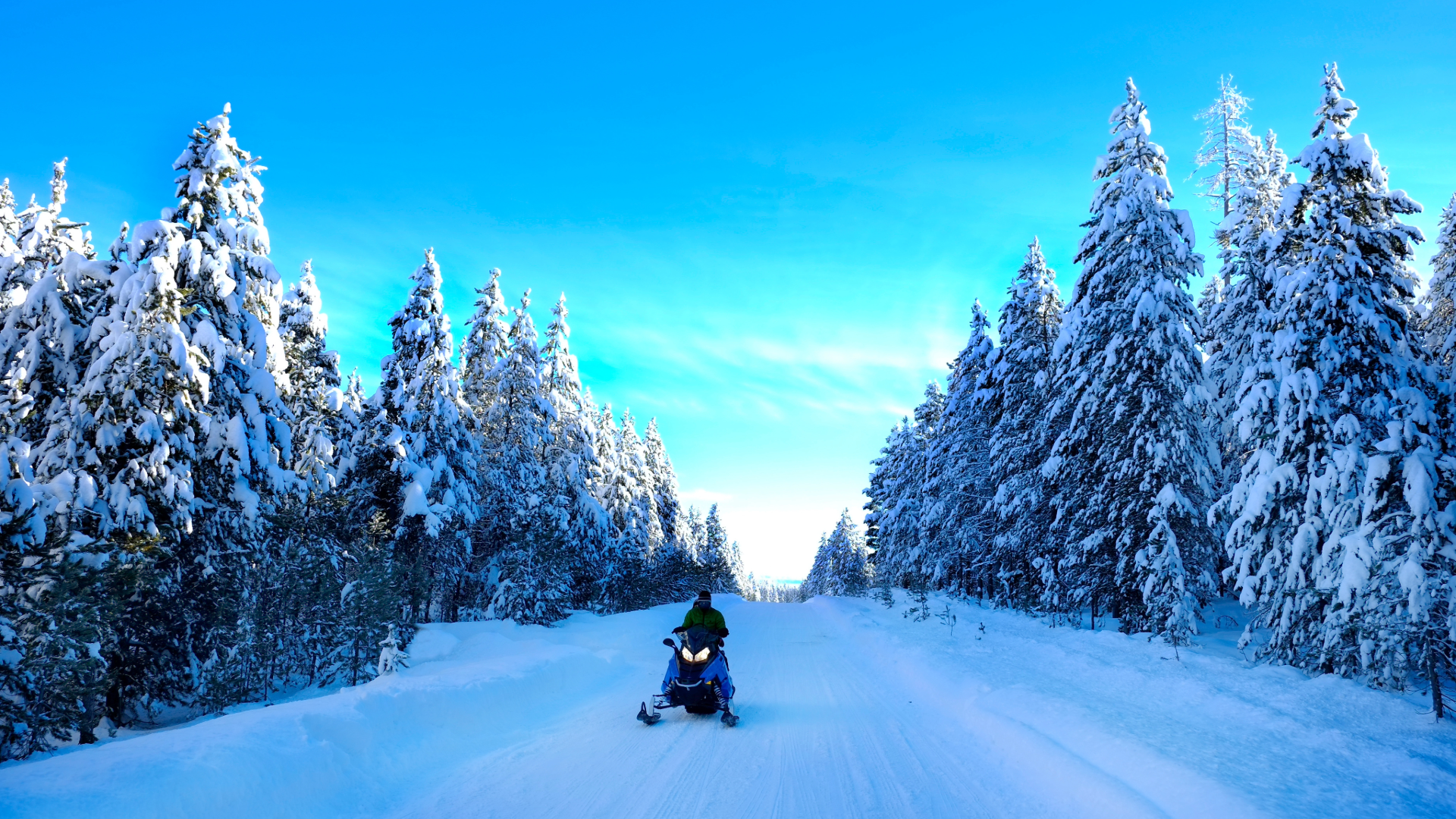 snowmobile snow covered pine trees