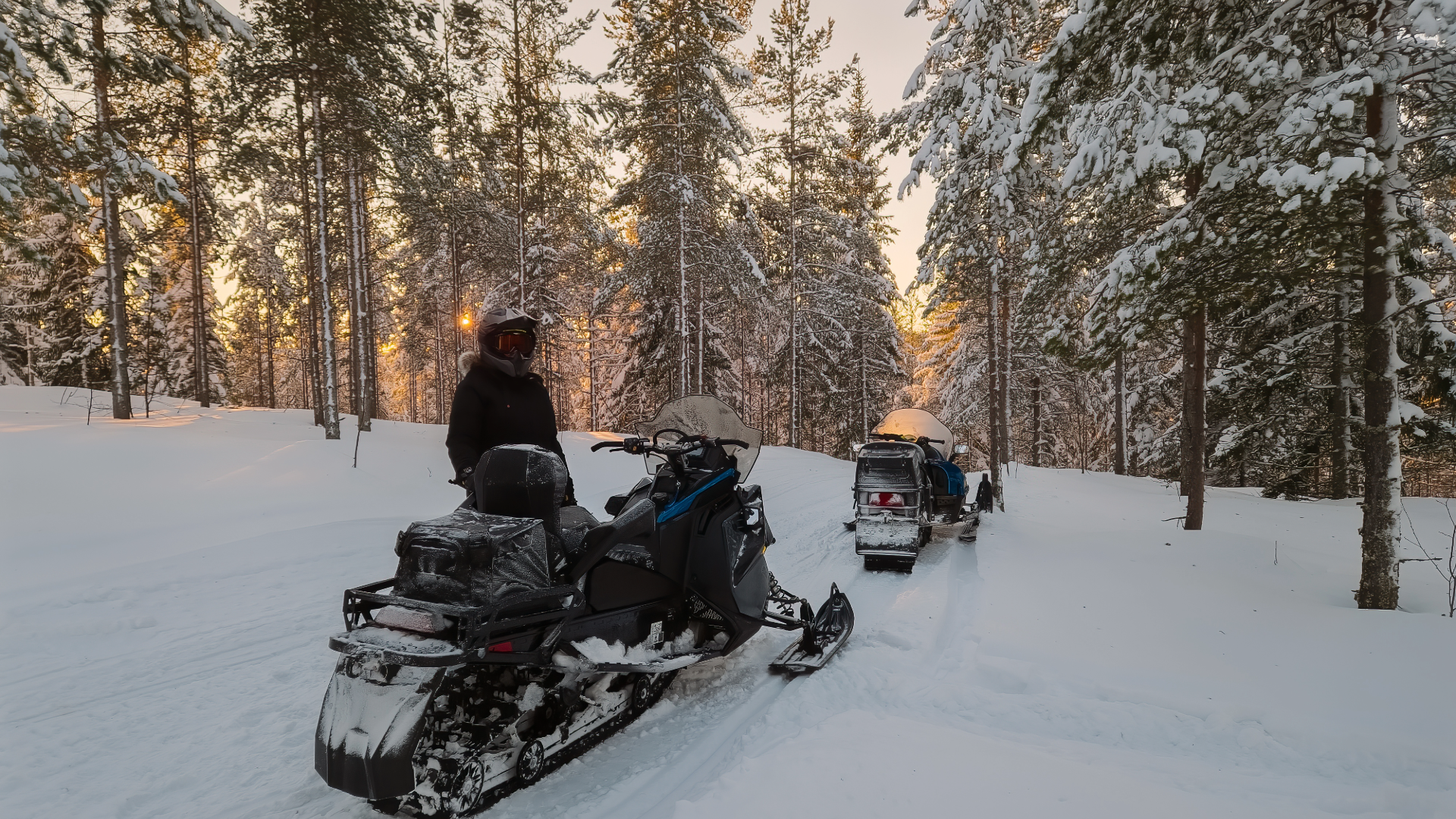 snowmobiles in forest at sunset