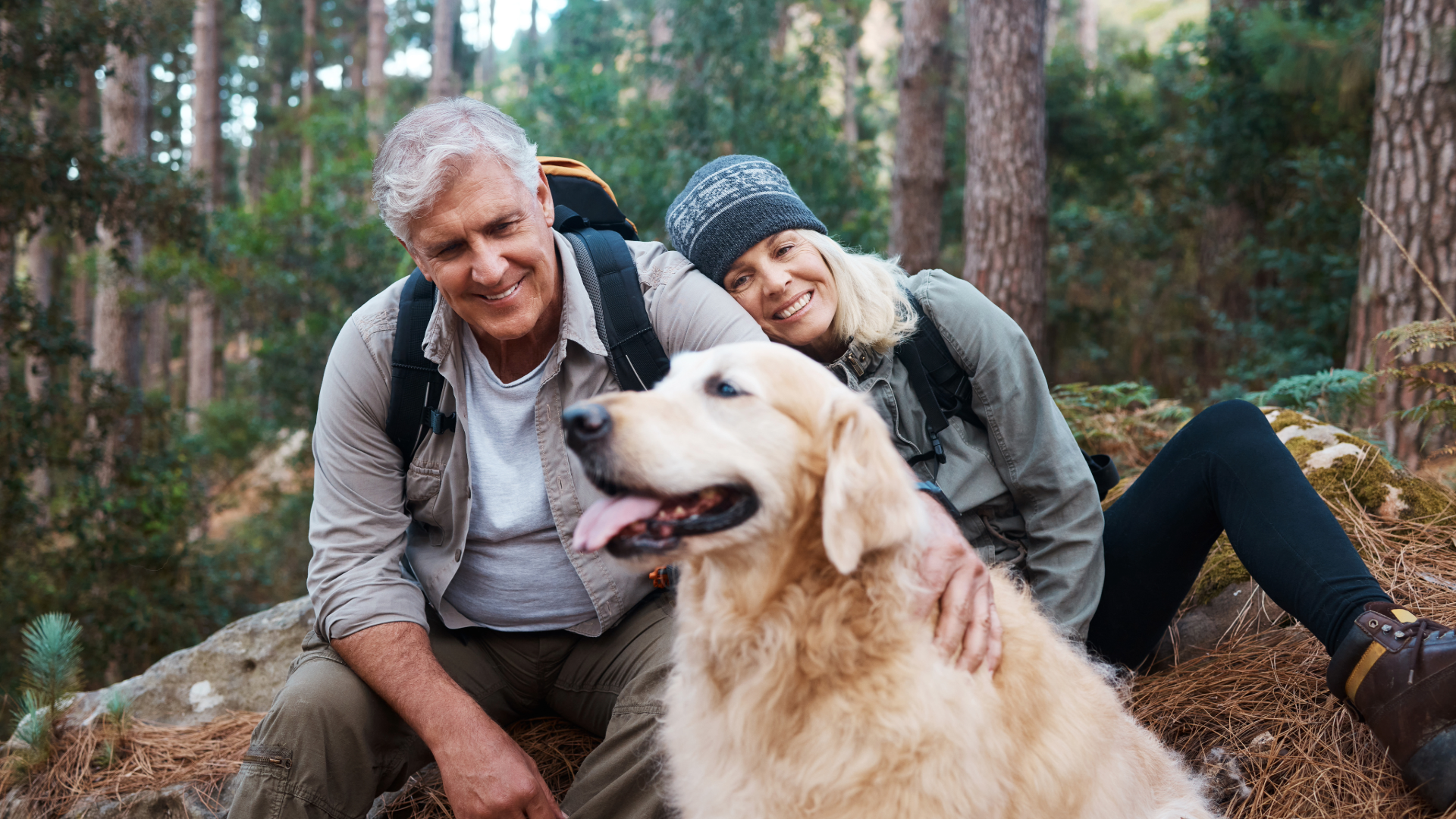 Retired couple and golden retriever hiking in forest