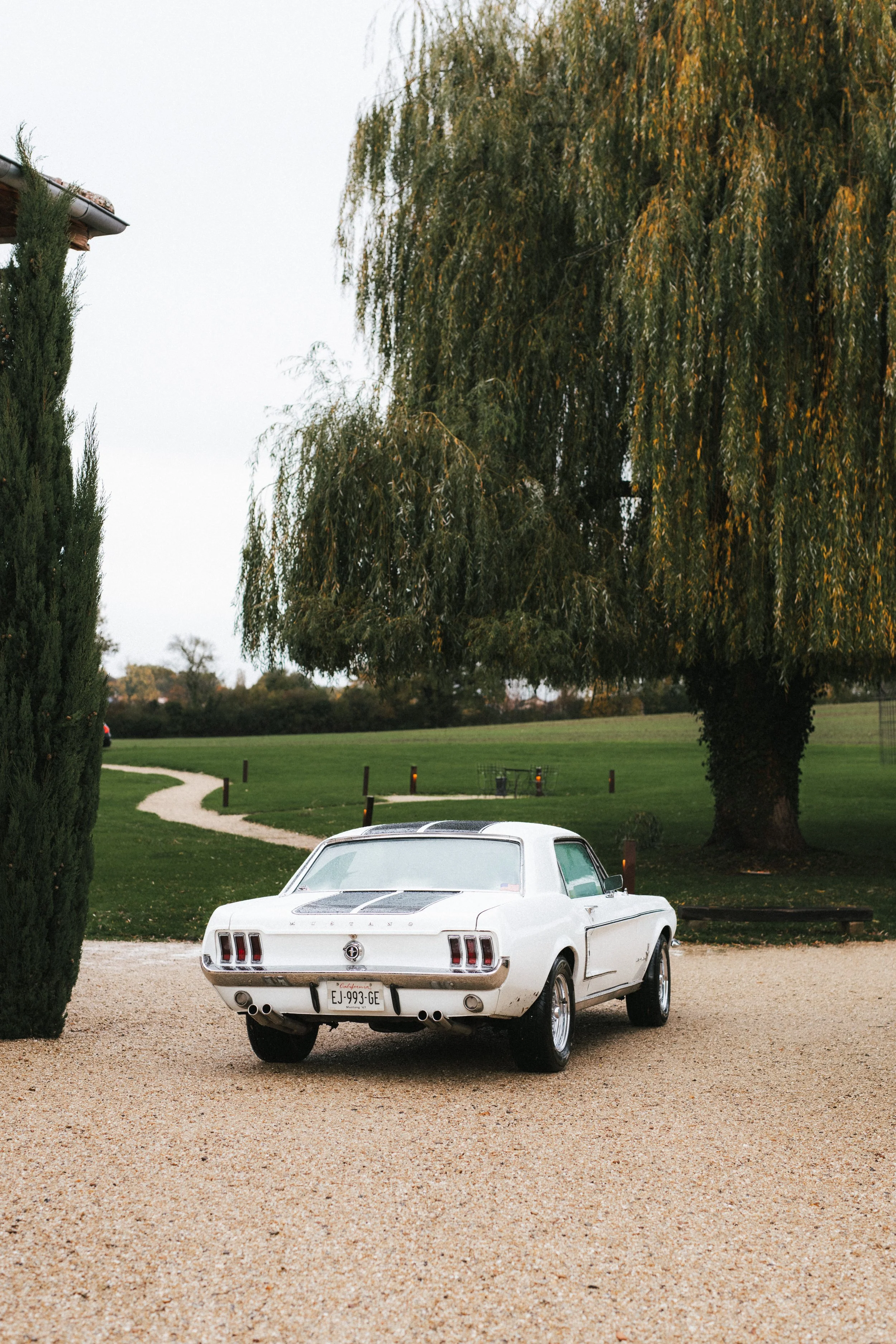 Une voiture blanche de style vintage, une Ford Mustang, stationnée sur un chemin de gravier dans un parc avec de grands arbres et de l'herbe verte.
