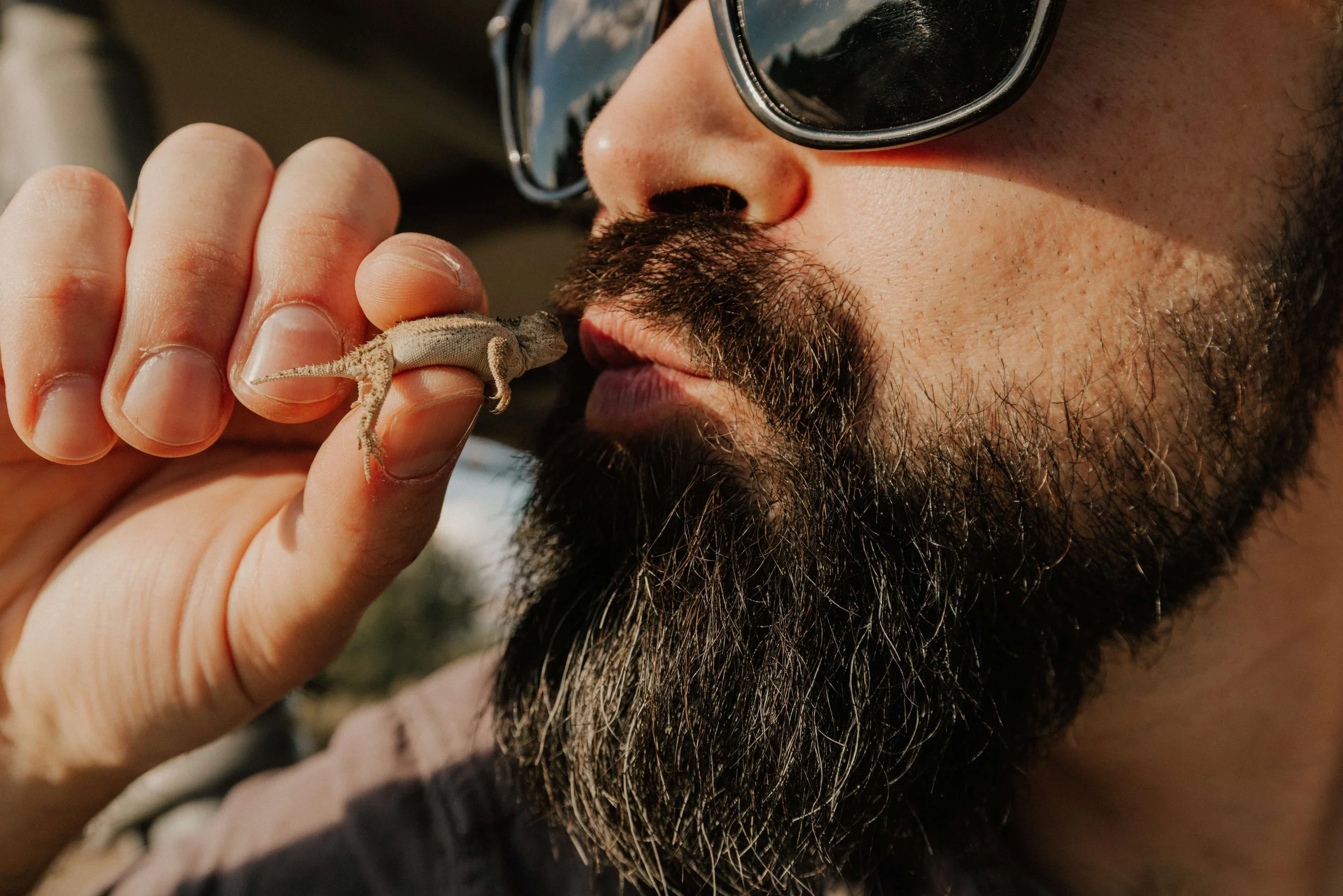 A bearded man wearing sunglasses holding a small lizard close to his face.