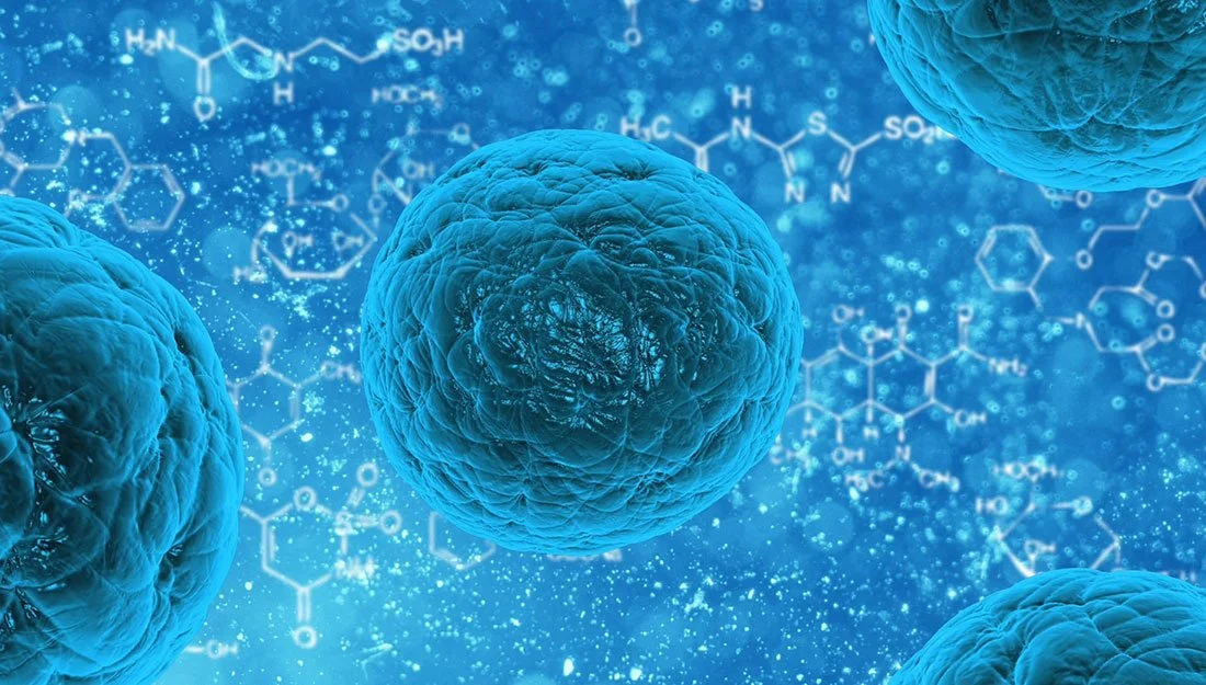 Safety evaluation of exosomes derived from human umbilical cord mesenchymal stromal cell