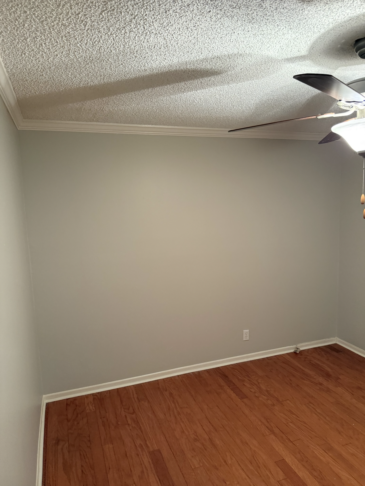 Interior Painting Contractor in Cibolo, TX