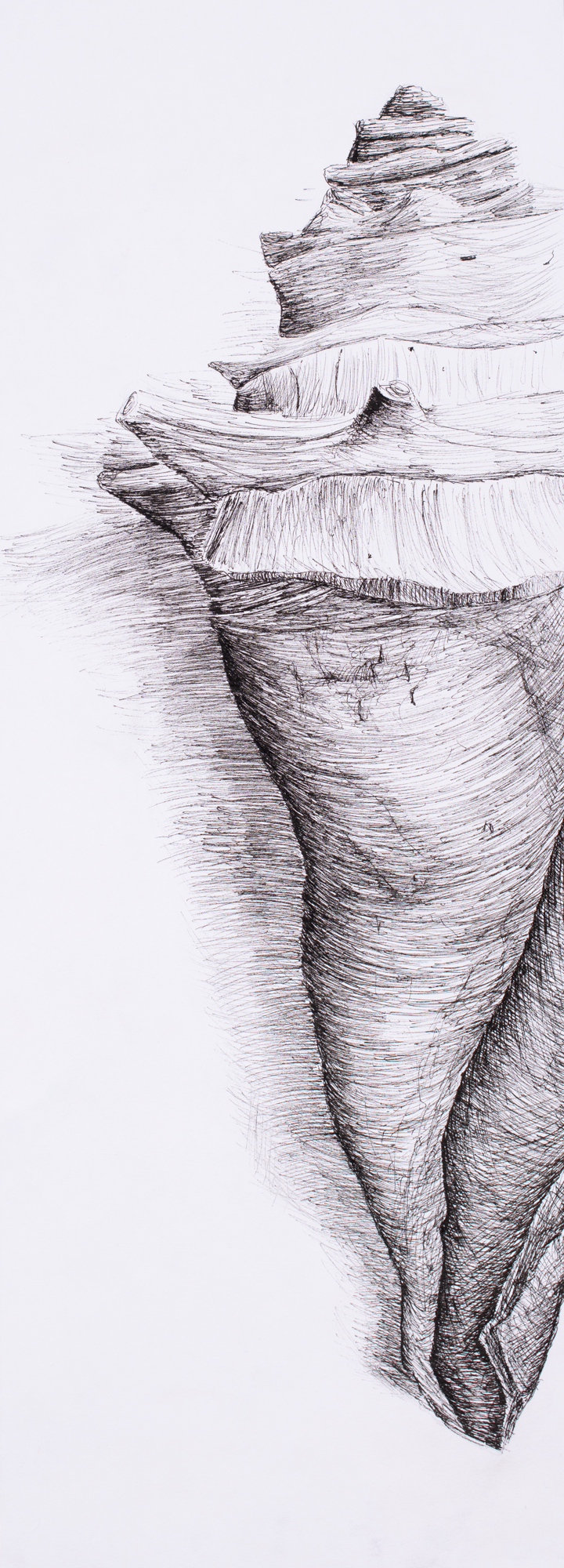 Julia Gaw art0083.png
