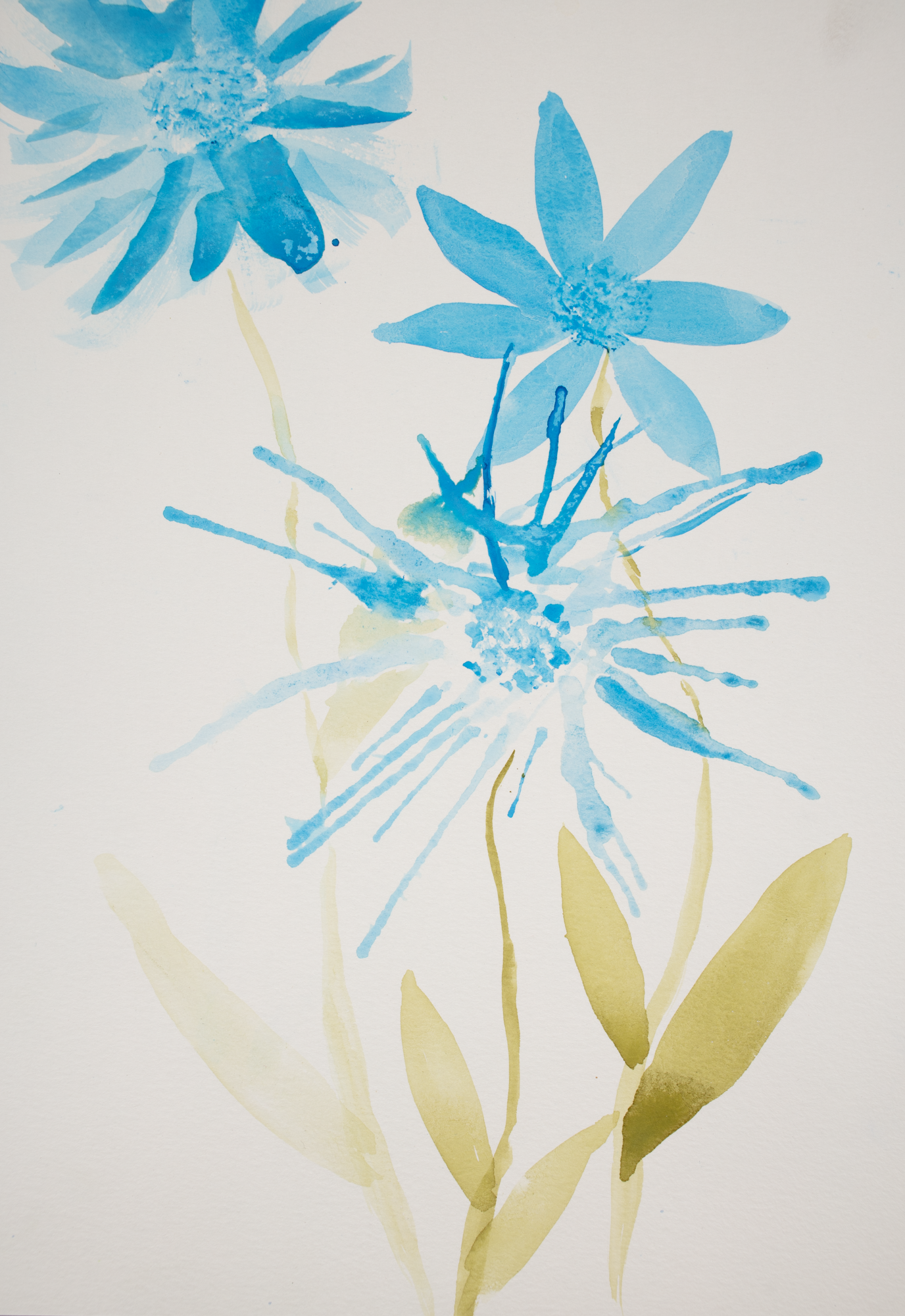 Julia Gaw art-0097.png
