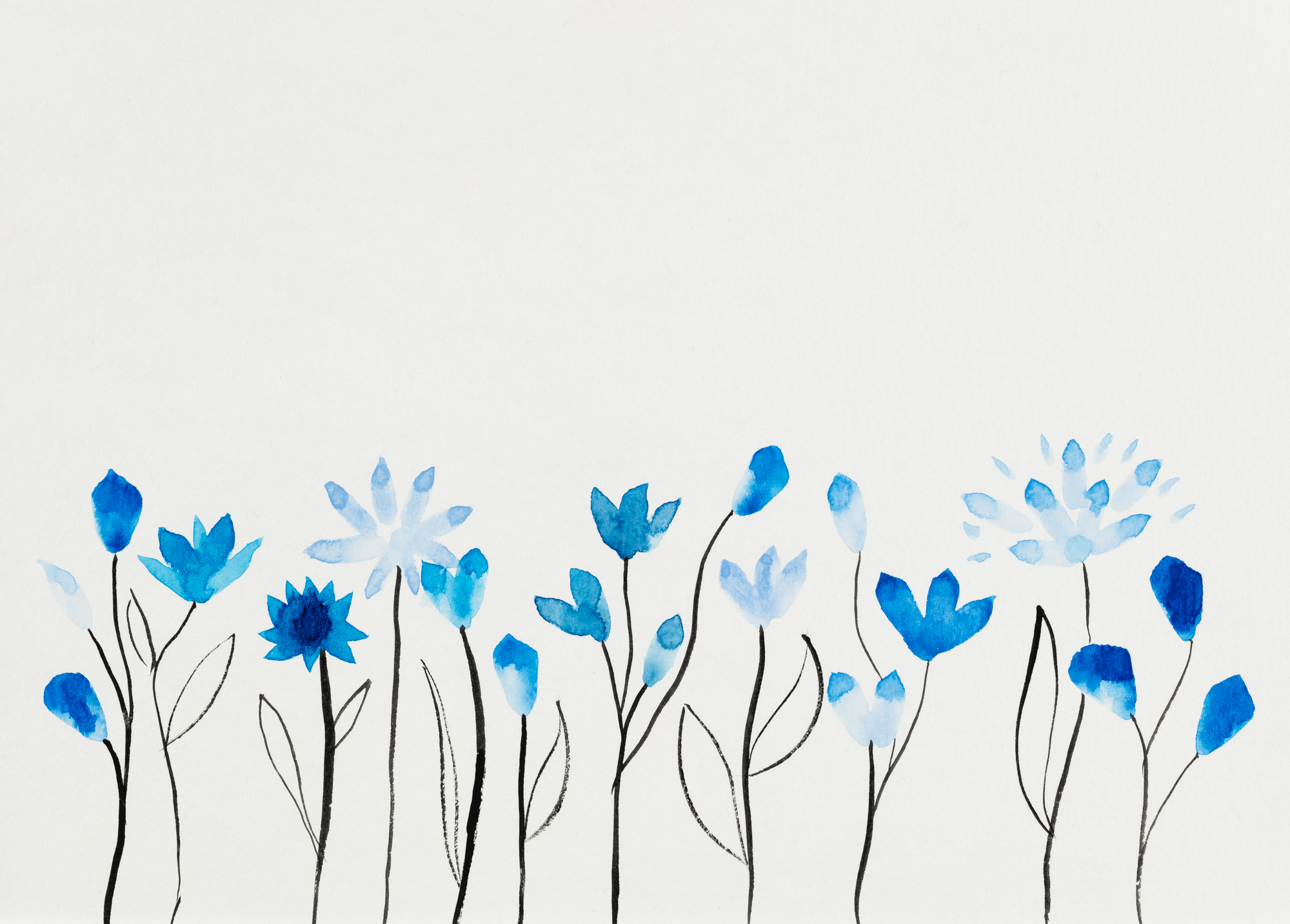 Julia Gaw art-0160.png