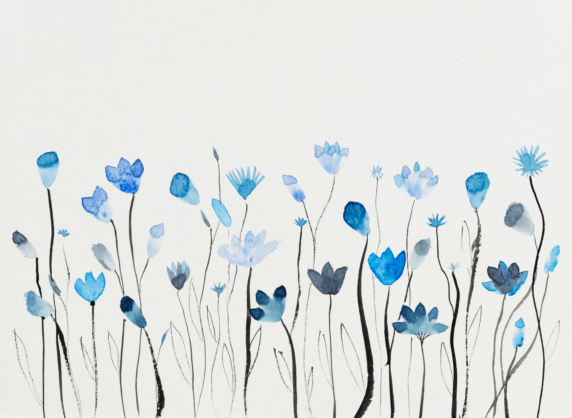 Julia Gaw art-0159.png