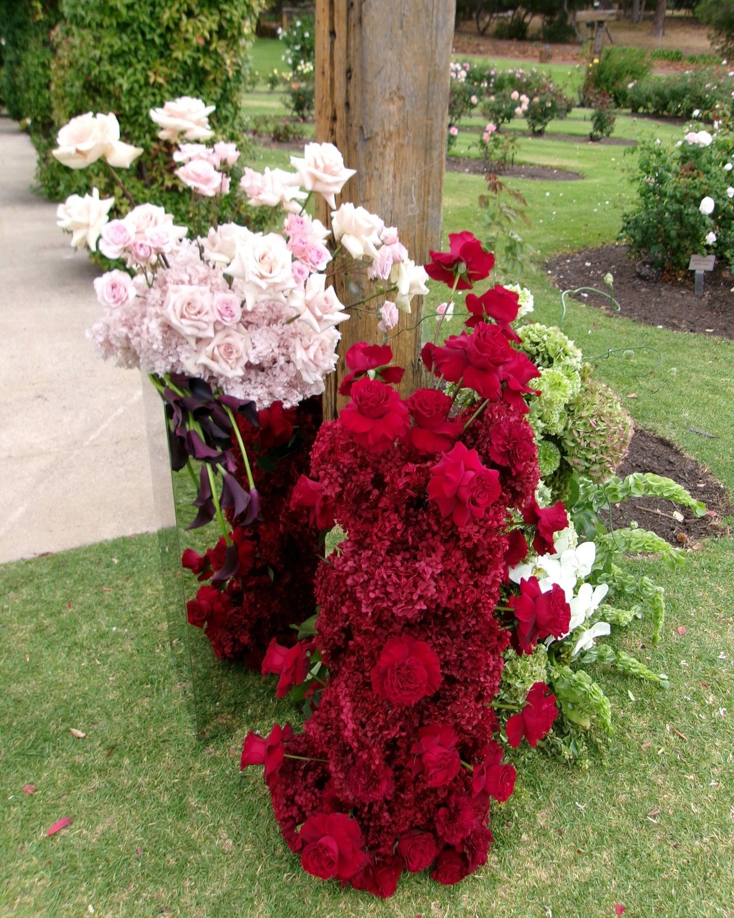 For the wonderful Mr and Mrs Sinclair - a dreamy couple 

 #downsouthweddings #downsouthwedding #margaretriverweddings