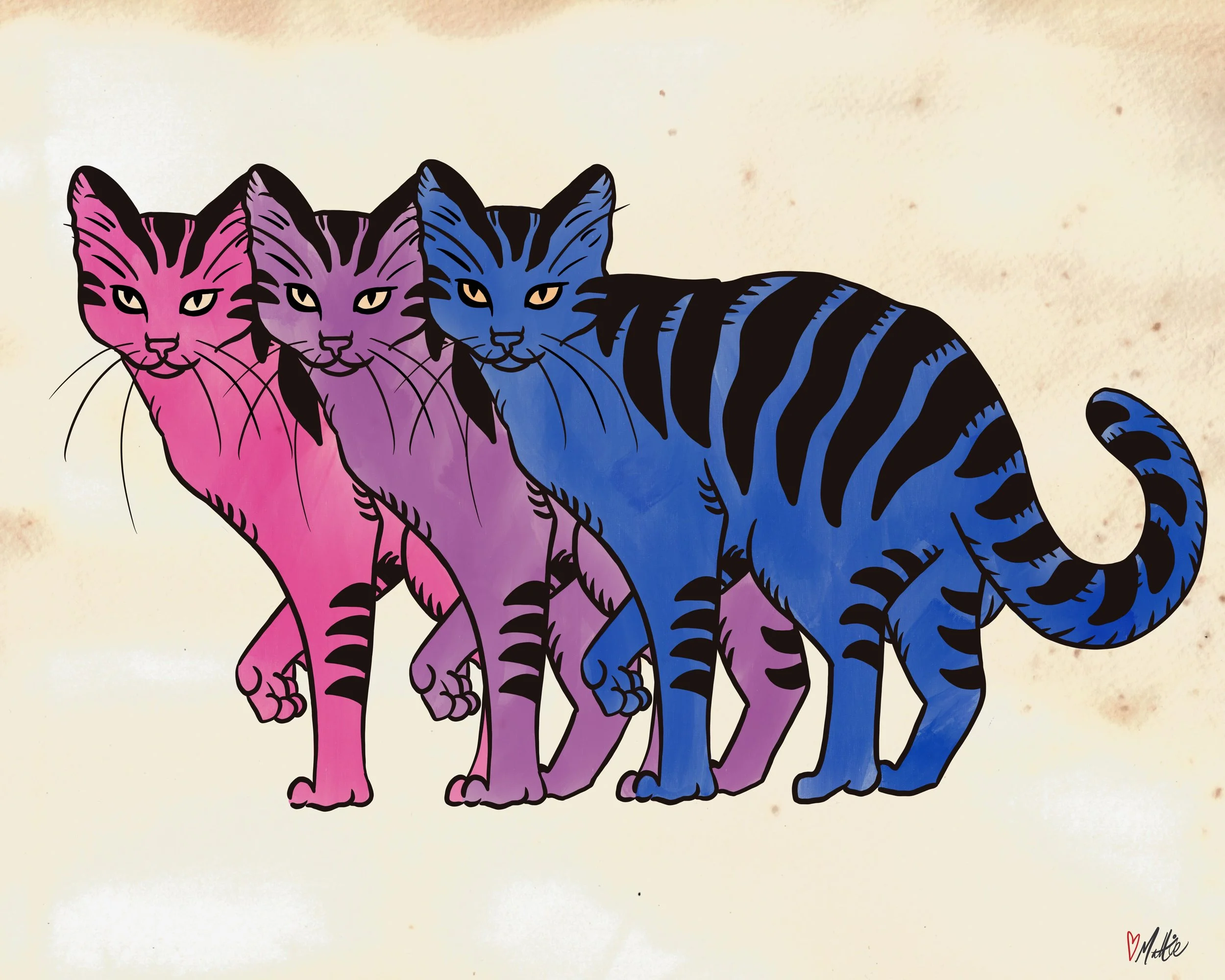 Bi Cats