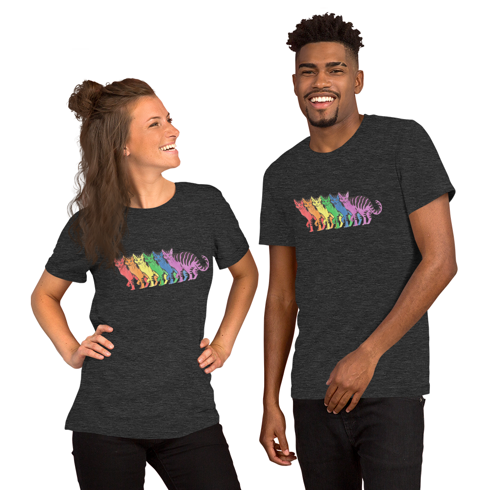 unisex-staple-t-shirt-dark-grey-heather-front-6a4821cf21e38.png
