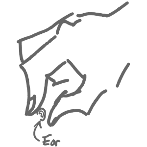 Tiny Ear - 4" Sticker