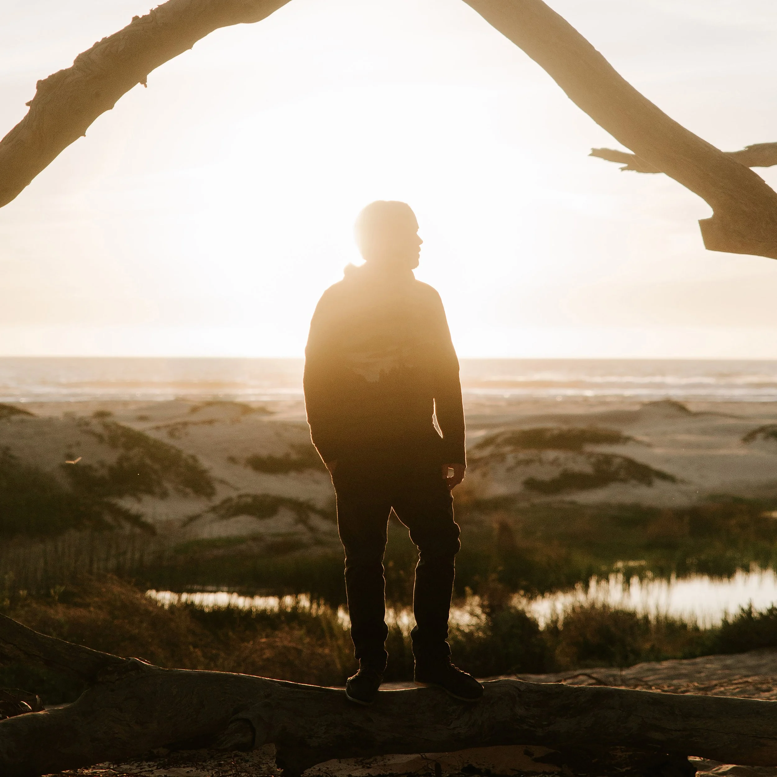 14-Are You Imagined Image.jpg