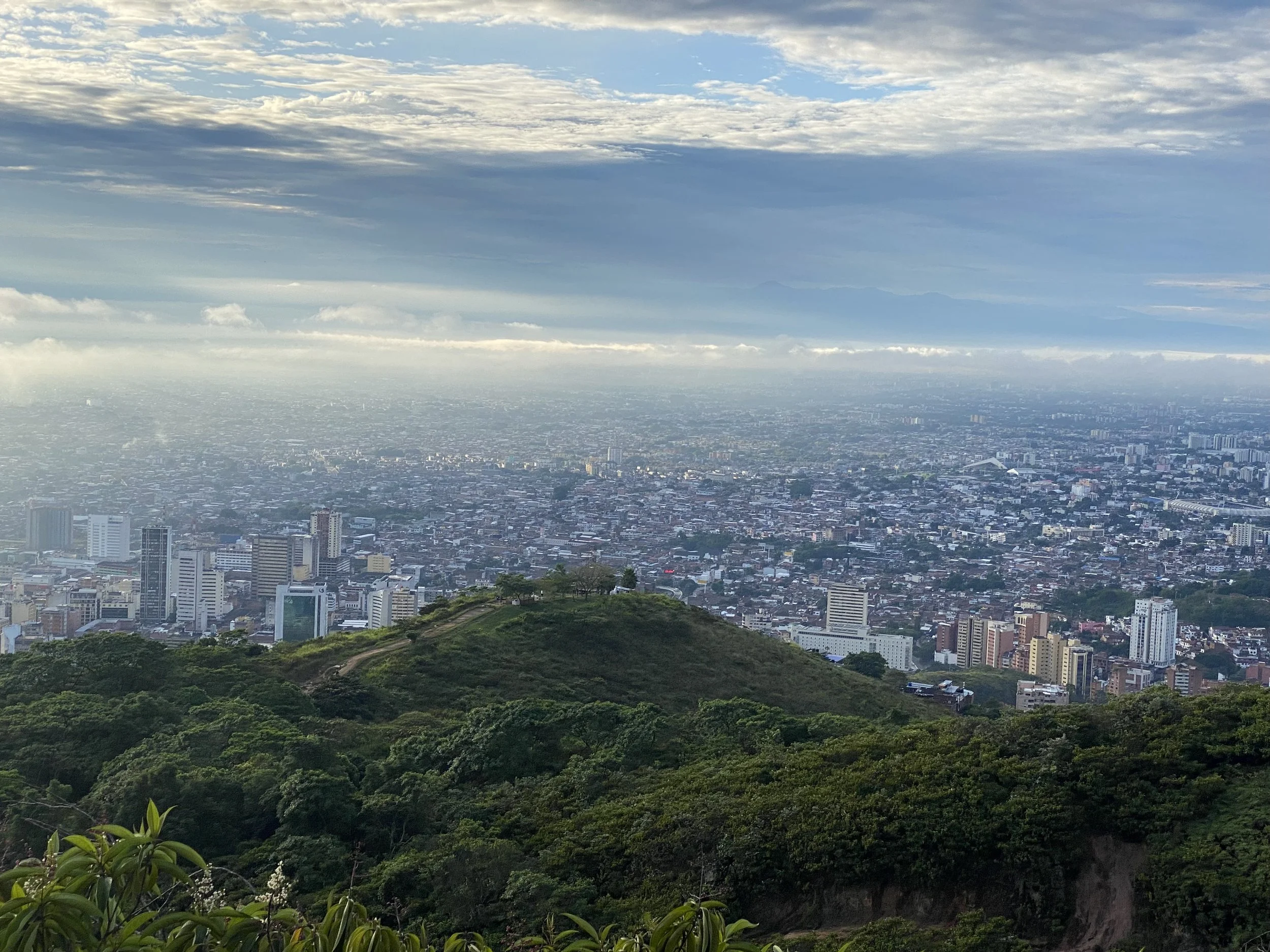 2023-01-09 07.06.43.jpg