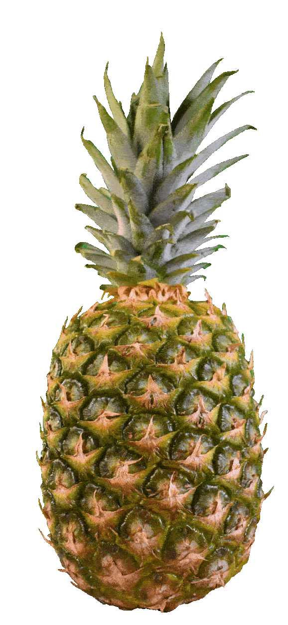 pineapple_sequence_iteration_4.gif