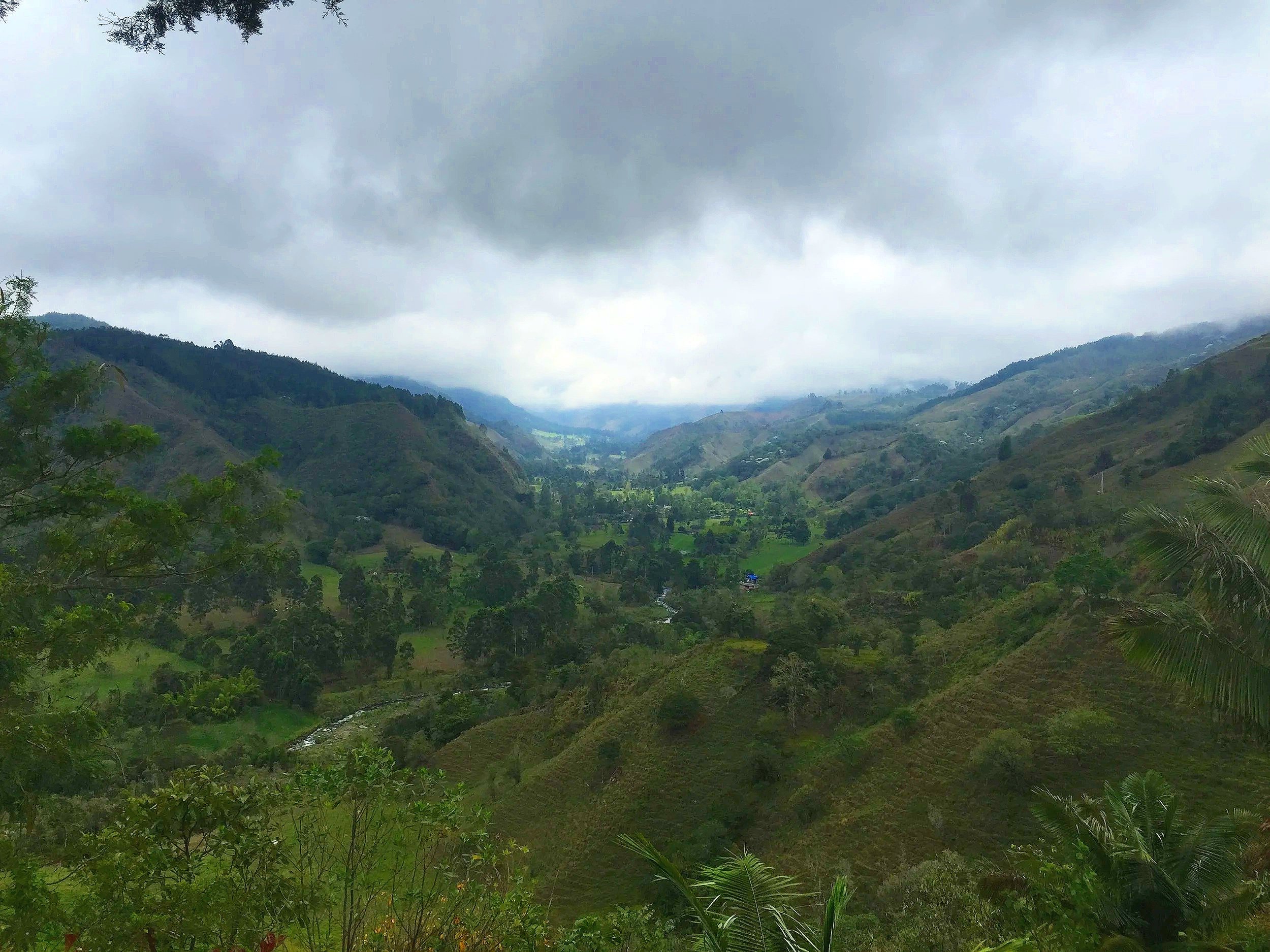 2015-10-11 10.55.20.jpg