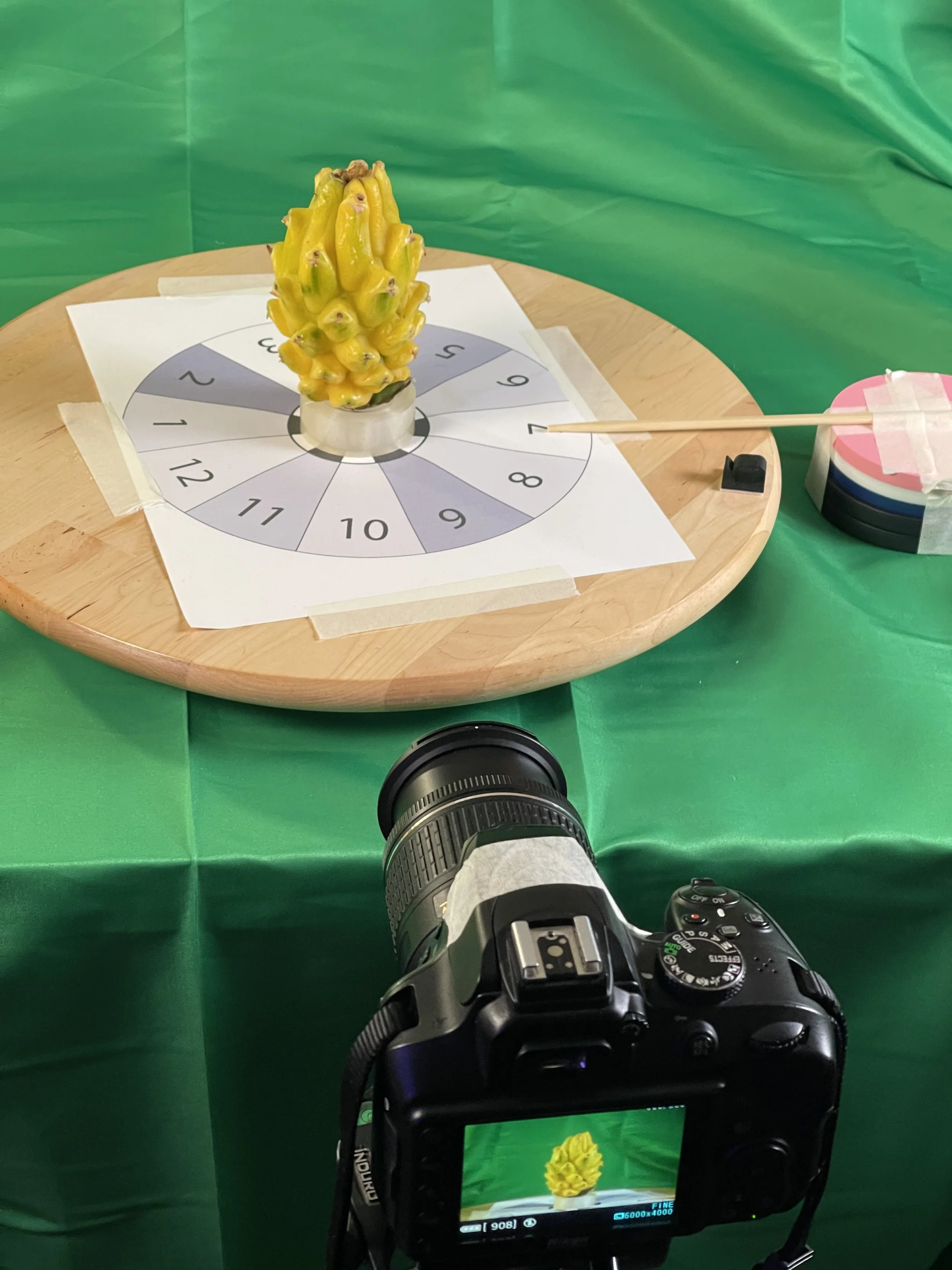 2021-04-10 20.16.24.jpg