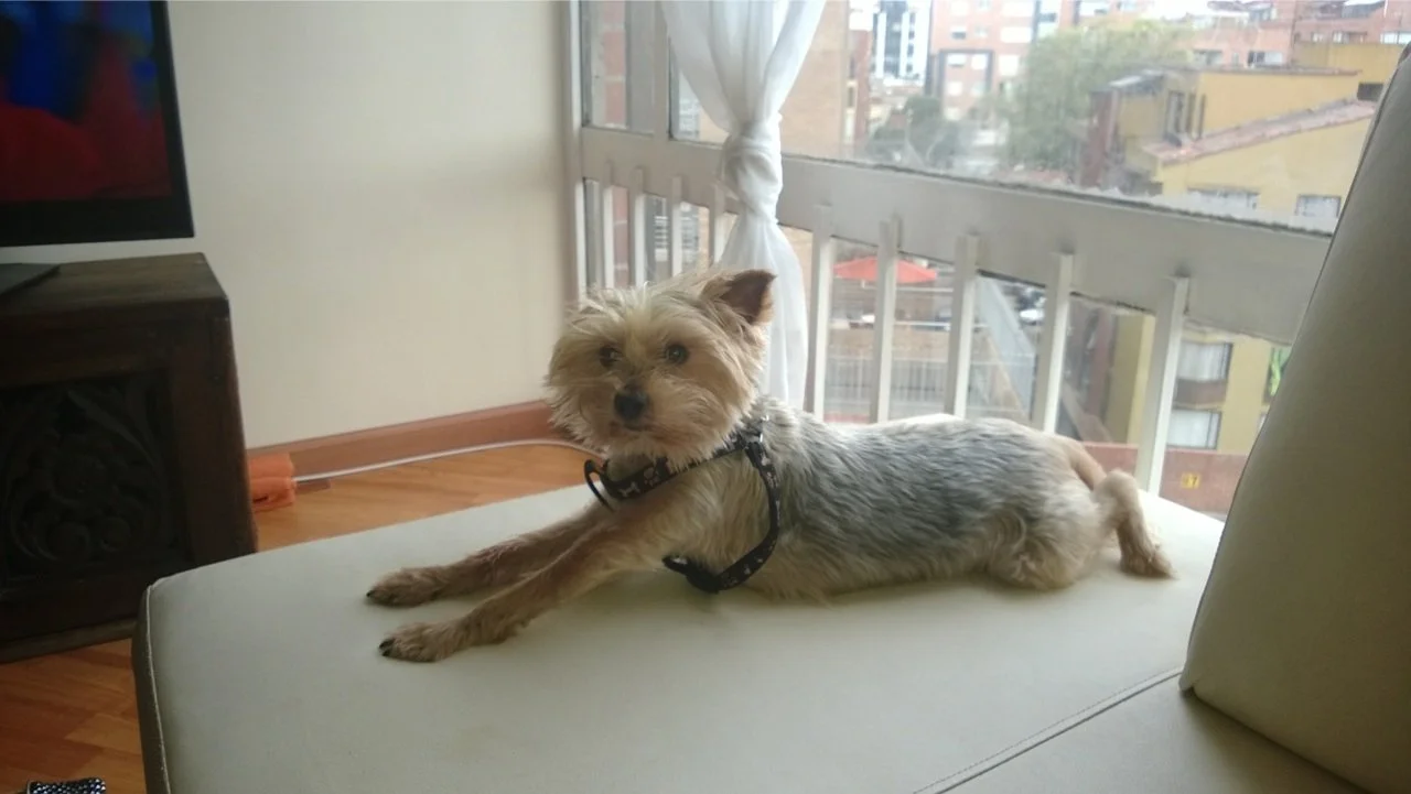 Daniel Cordero_20140623_001.jpg