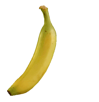 Banana_iteration_2.gif