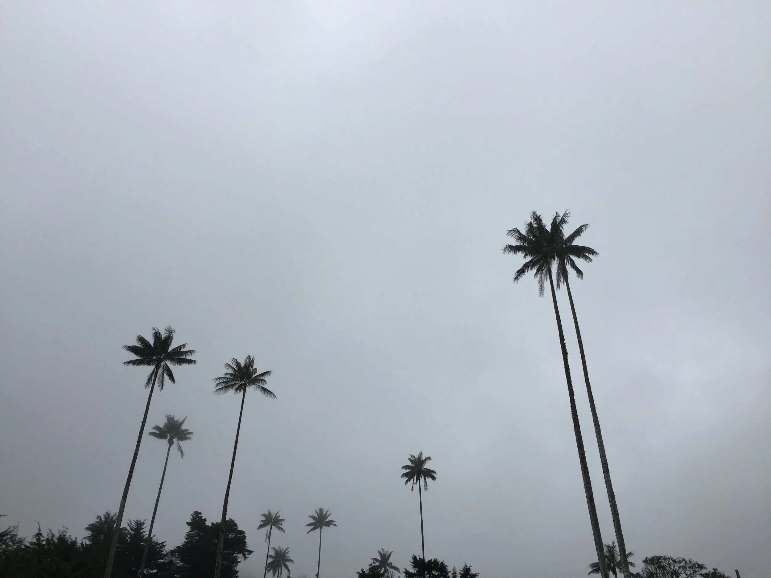 2015-10-12 13.50.59-2.jpg