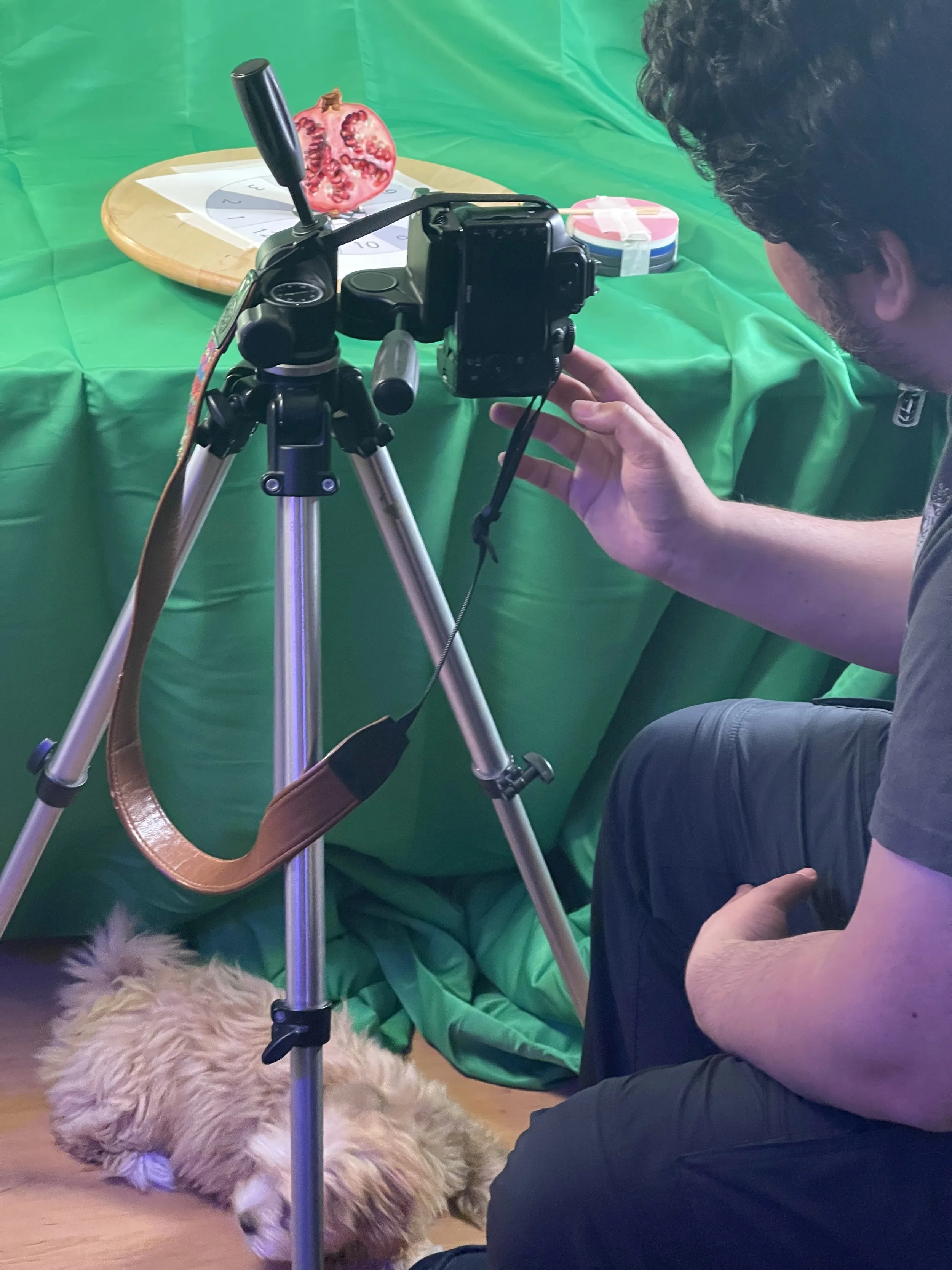 2021-04-10 21.25.06.jpg