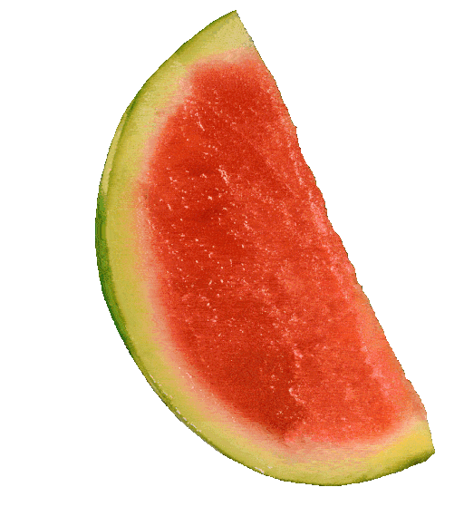 Watermelon_Slice_iteration_4.gif