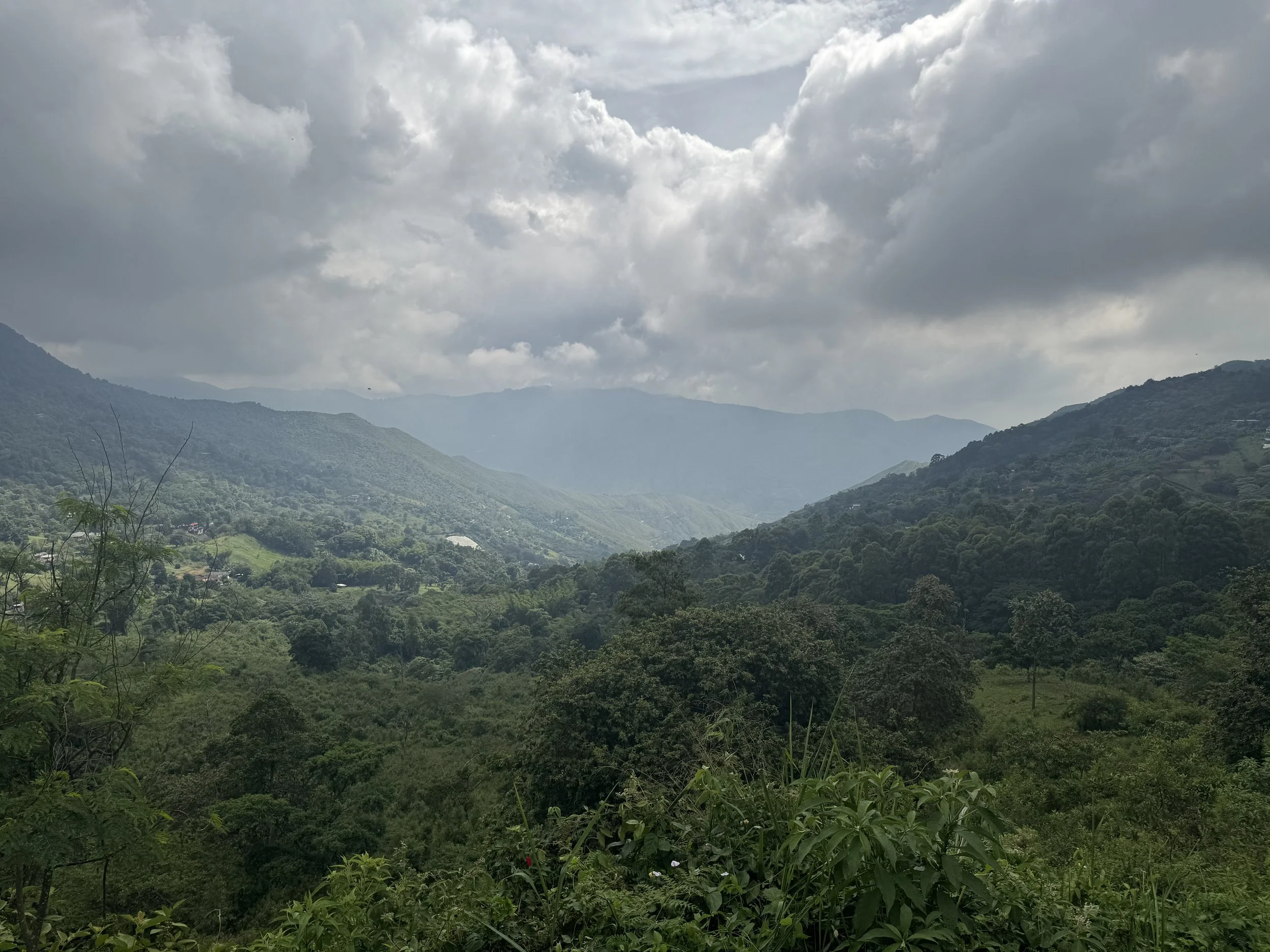 2025-06-01 10.07.46.jpg