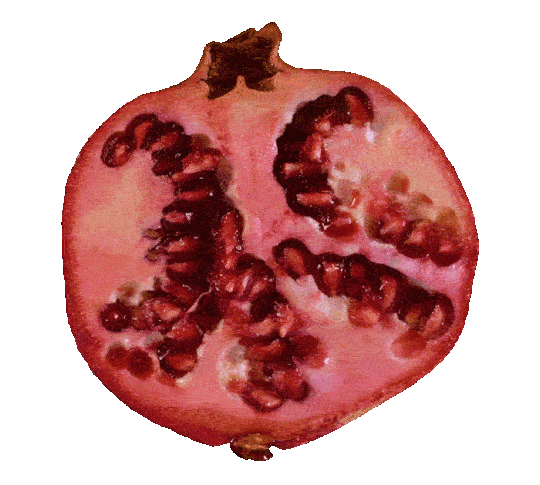 Open_Pomegranate_iteration_4.gif