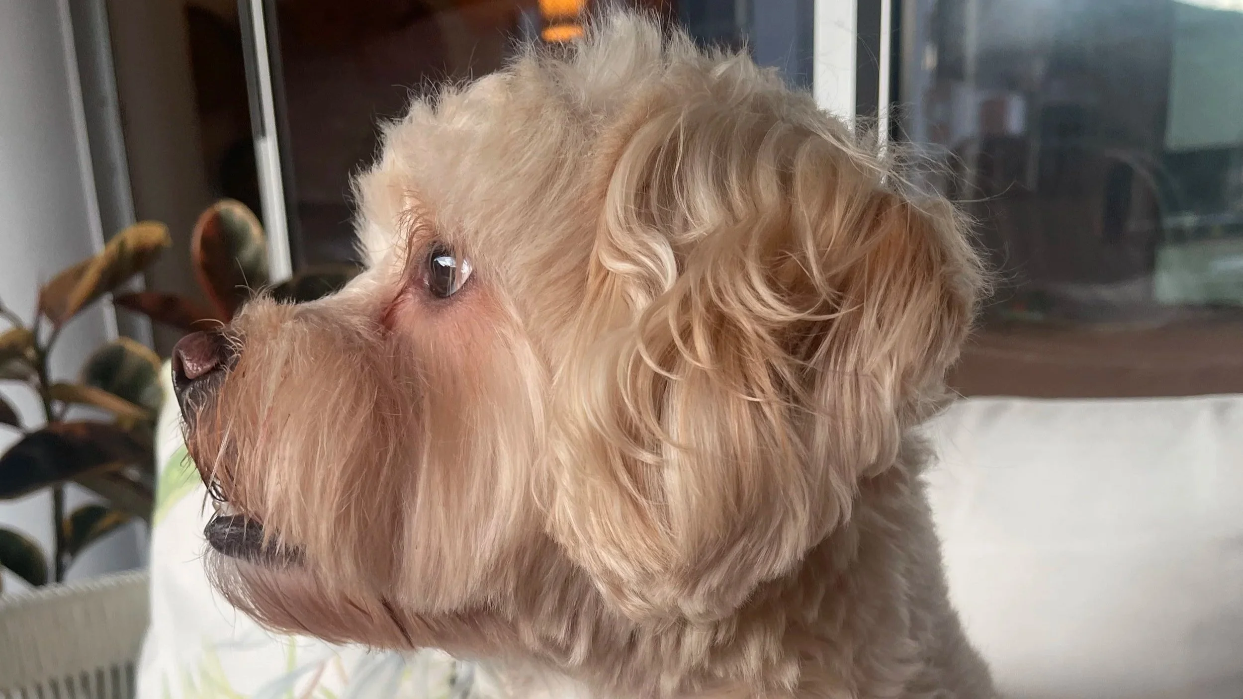 2025-06-08 18.03.50.jpg