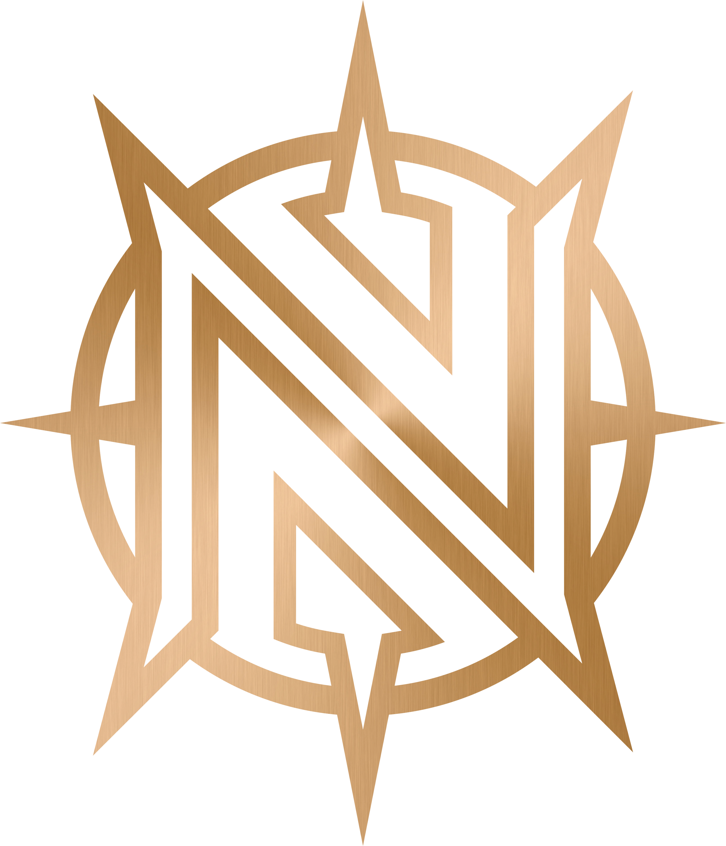 TRUNORTH LOGO COMPASS.png
