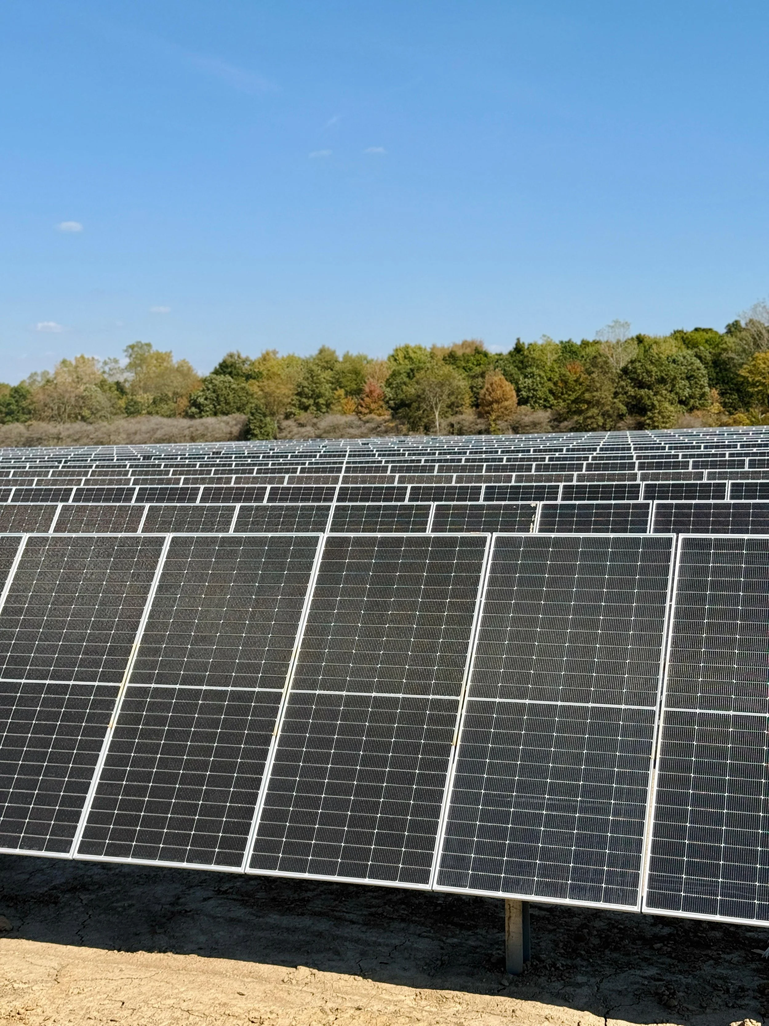 Multiple rows of solar panels outdoors with a background of trees and a clear blue sky.