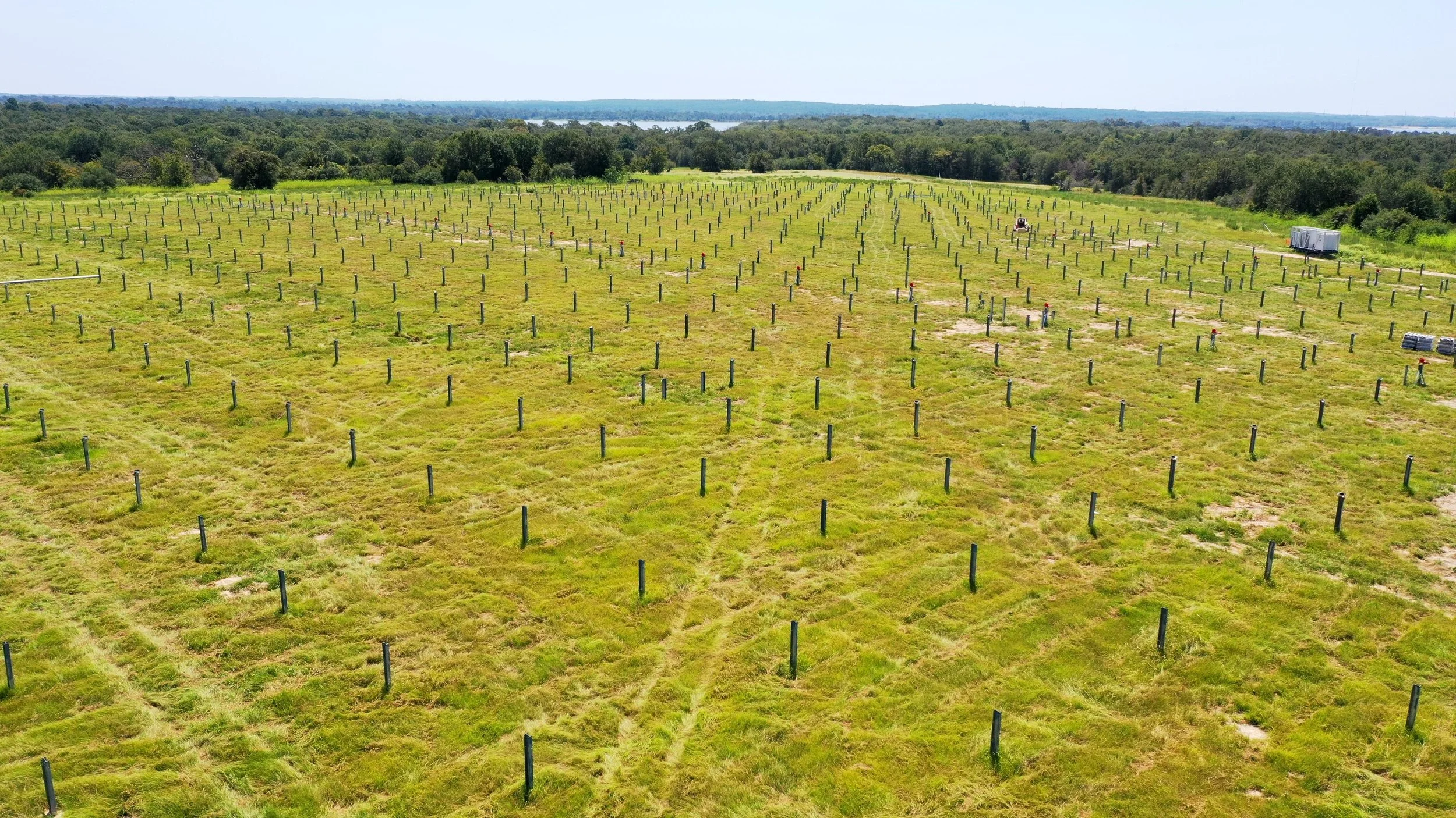 A large grassy field with evenly spaced green poles, possibly in a rural or agricultural area, with trees and a distant body of water on the horizon.