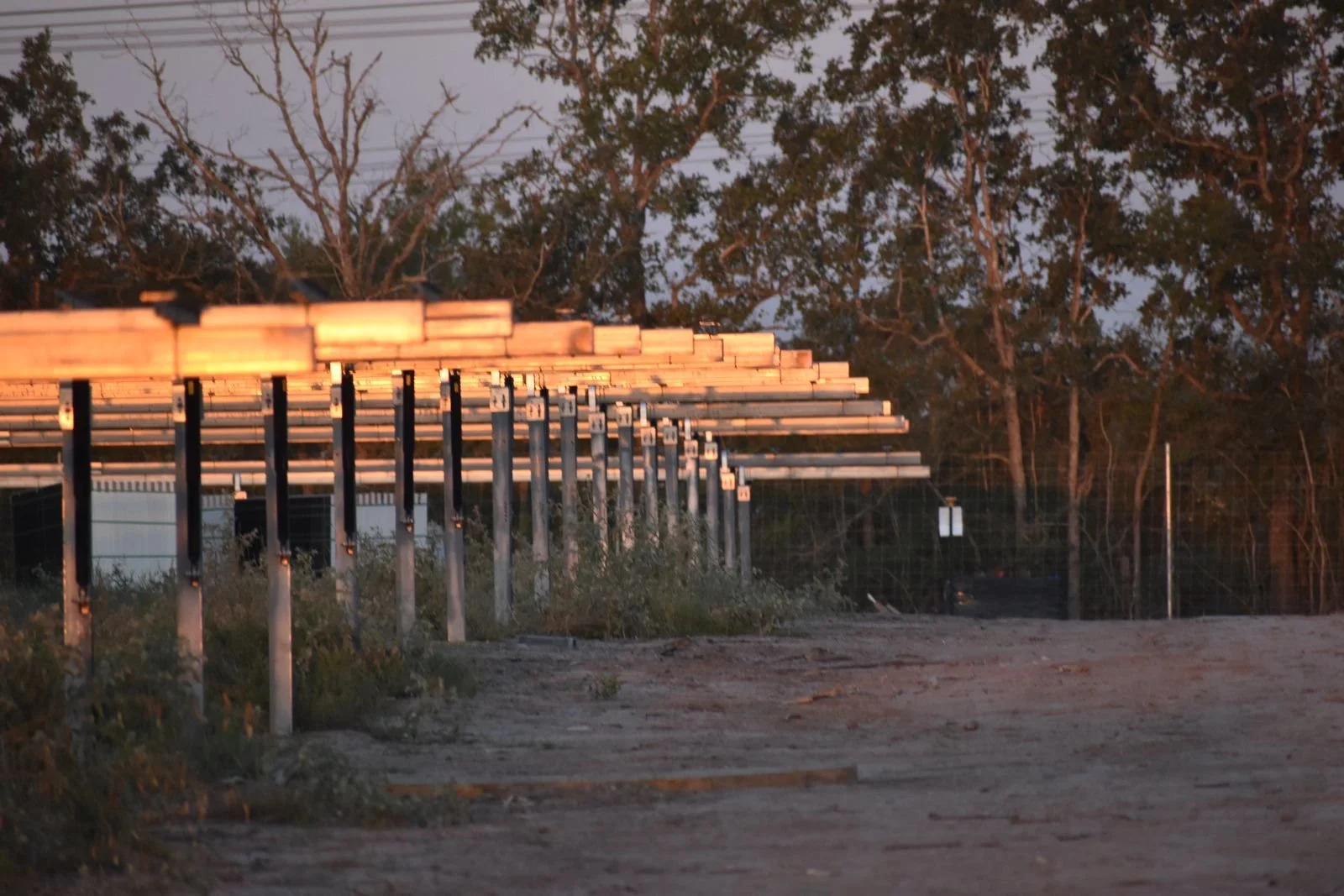 Empty lot with construction materials stacked on poles, trees in the background, and dirt ground at sunset.