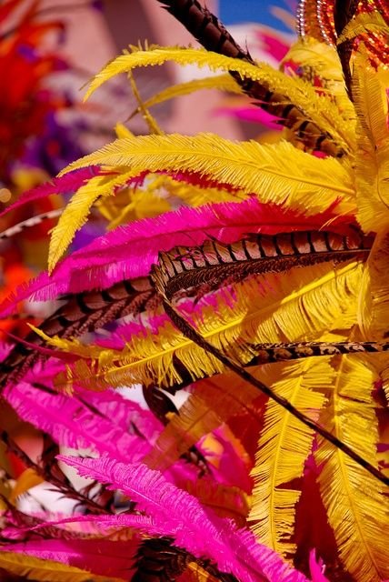 ADC Carnival feathers.jpeg