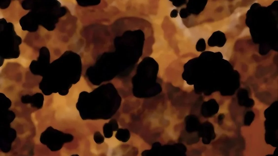Close-up of black peppercorns on a brown surface.